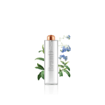 گلدان آپارتمانی پتوس - تصویر 5