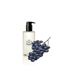 گلدان آپارتمانی زاموفیلیا - تصویر 4